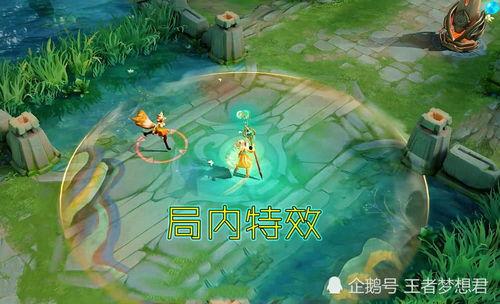 瑶新皮肤最新爆料5月,瑶族风情与时尚潮流的完美融合