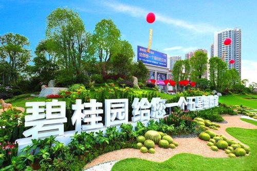 六安碧桂园爆料案件最新,揭开豪宅背后的惊人真相！”